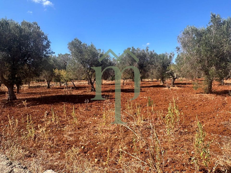 Helårsgrund i San Vito dei Normanni, Brindisi - foto 1